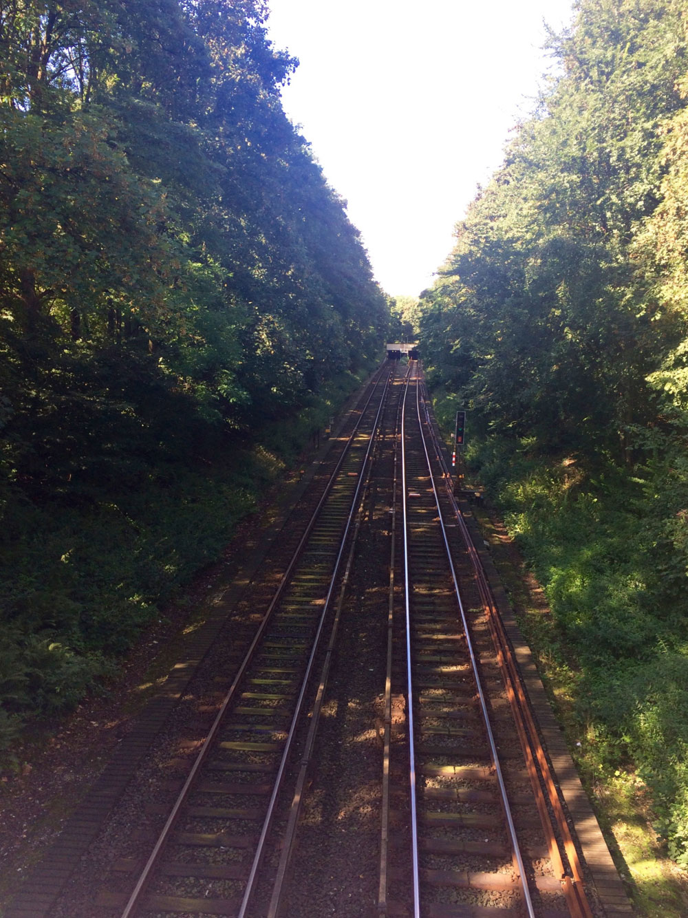 Railway tracks at Thörls Park