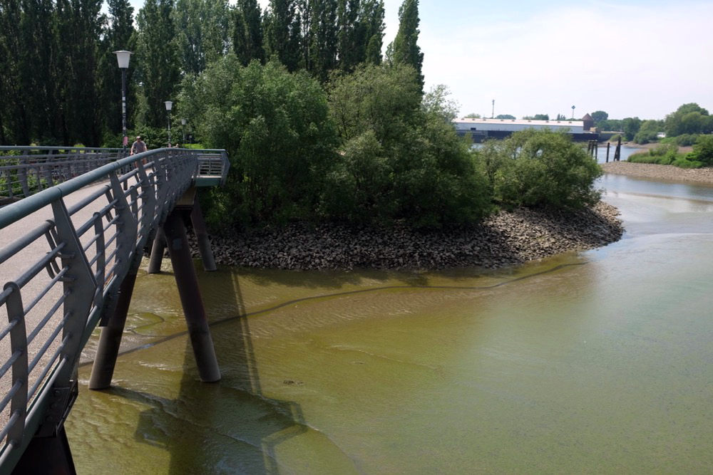 Bridge to Elbpark Entenwerder