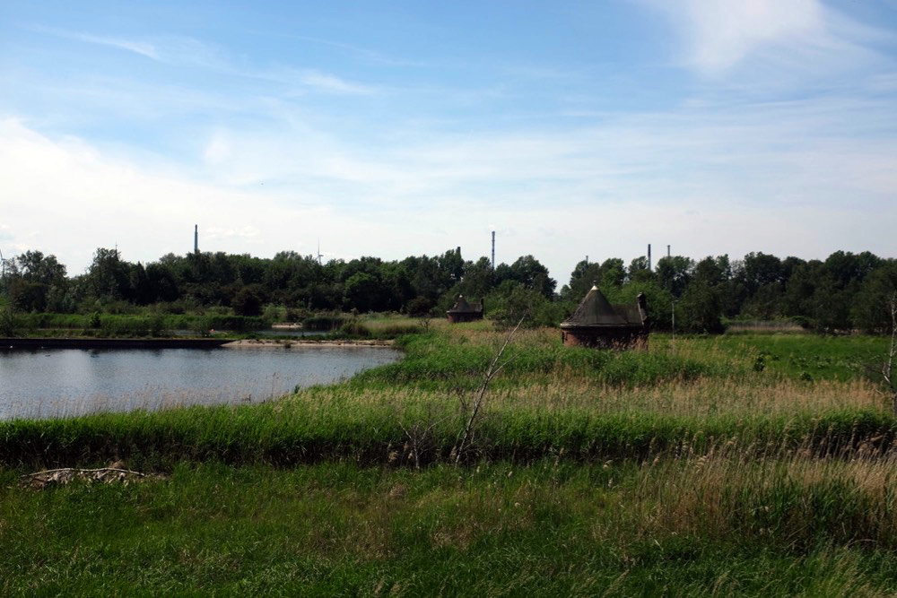 Wasserkunst Elbinsel Kaltehofe