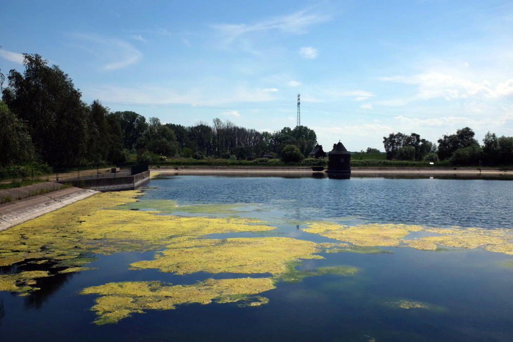 Wasserkunst Elbinsel Kaltehofe